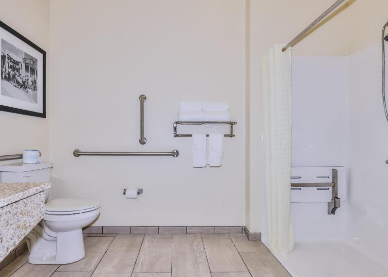 King Room with Roll-In Shower - Disability Access image 3