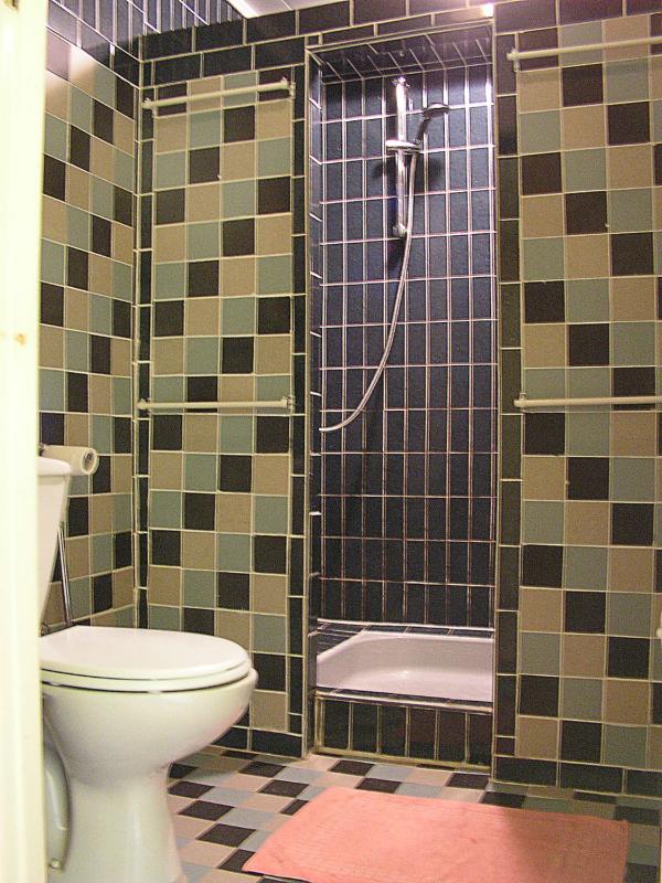 Three-Bedroom House image 2