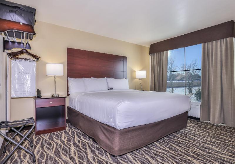 One-Bedroom Suite image 1