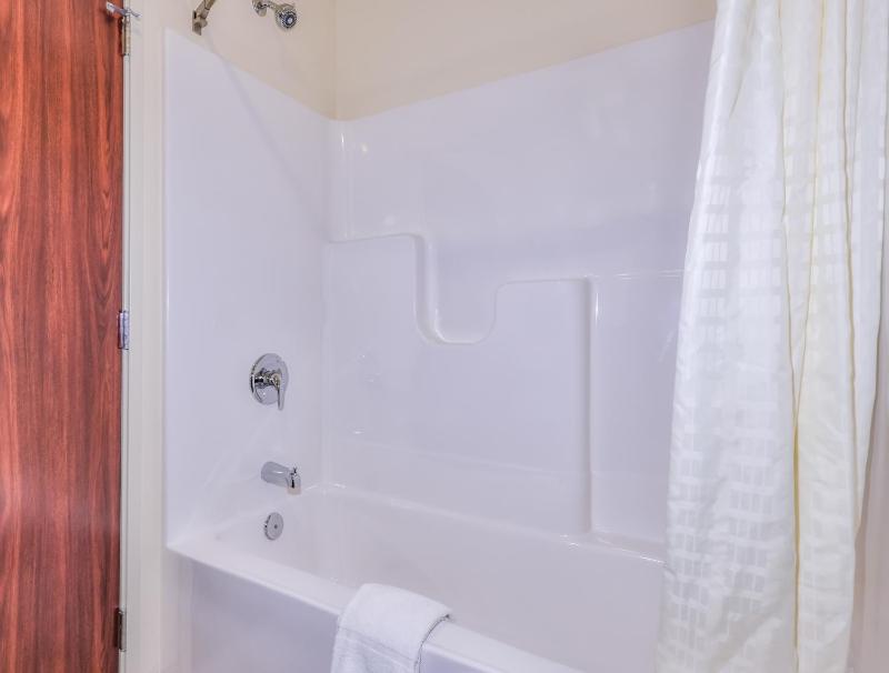 One-Bedroom Suite image 2