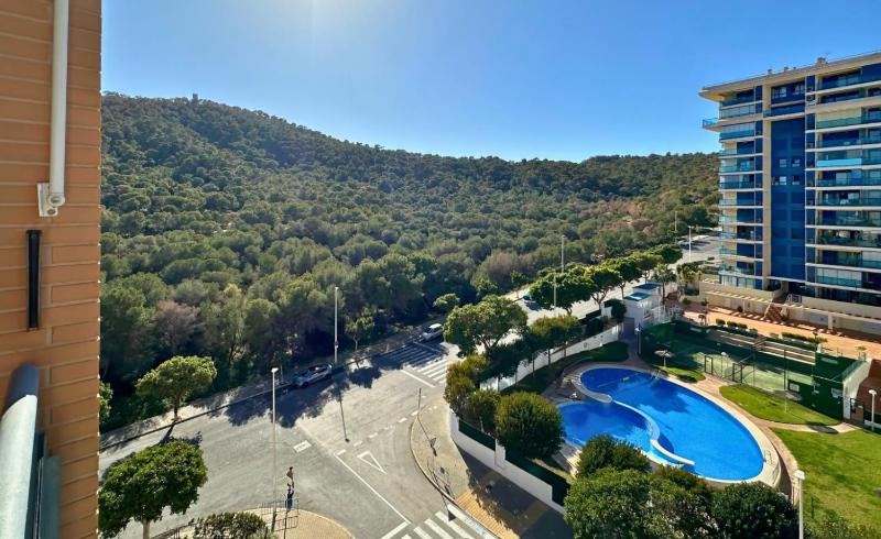 TorreAguiló: Urbanización con Piscina Gym y Padel - image 16