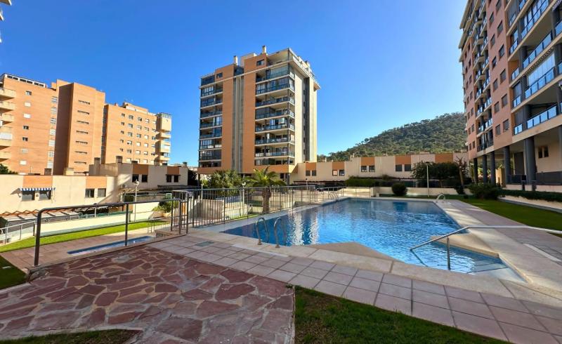 TorreAguiló: Urbanización con Piscina Gym y Padel - image 40