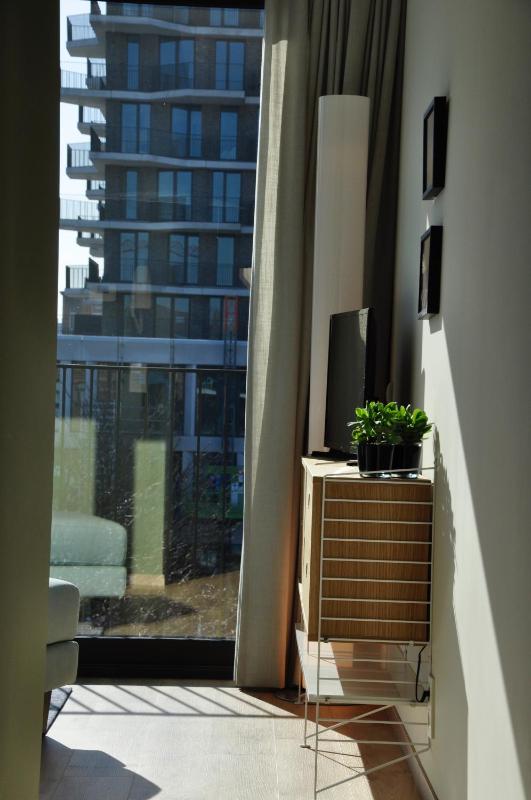 One-Bedroom Apartment image 4