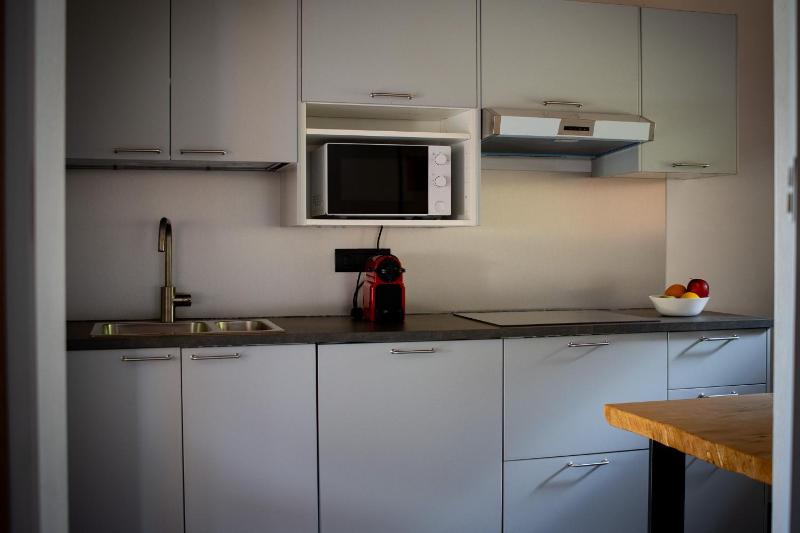 One-Bedroom Apartment with Balcony and Mountain View   image 4