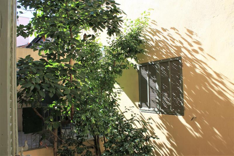 Viva Riviera - 19 rue des Frères Pradignac - image 27