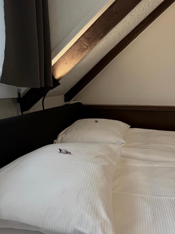 Budget Double Room image 4