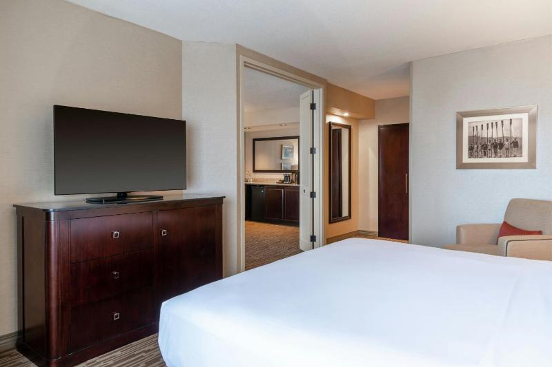 Standard King Suite with City View image 4