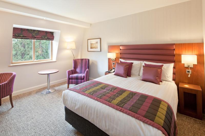 Executive Double Room image 1