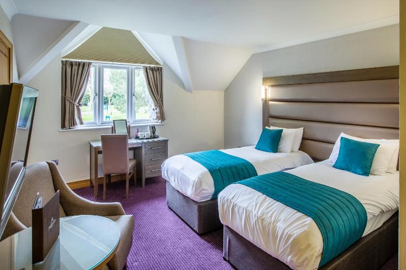 Double or Twin Room image 4