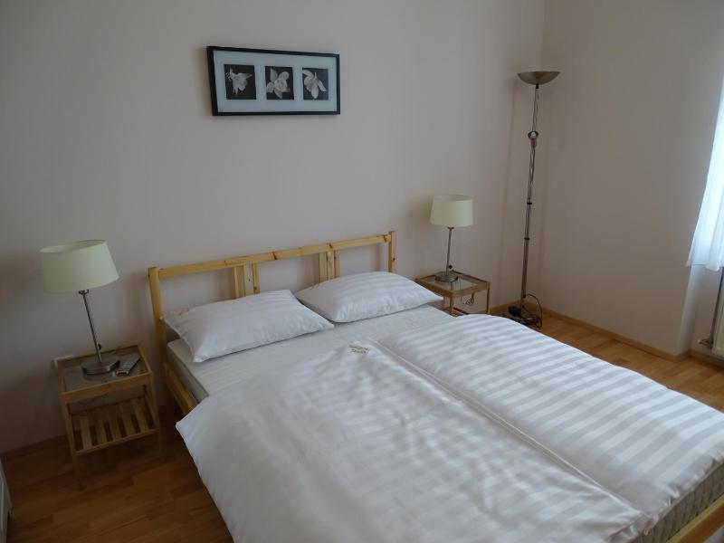 One-Bedroom Apartment image 1