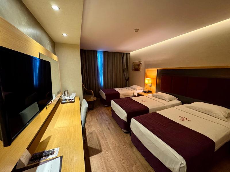 Standard Triple Room image 2