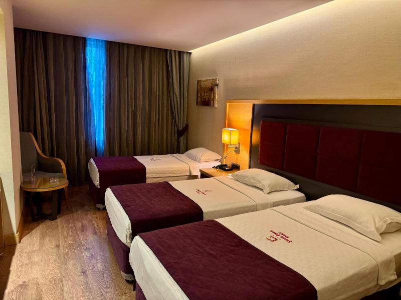 Standard Triple Room image 3