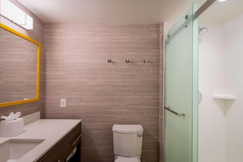 King Studio Suite image 2