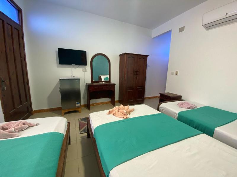 Octopus Hotel - image 18