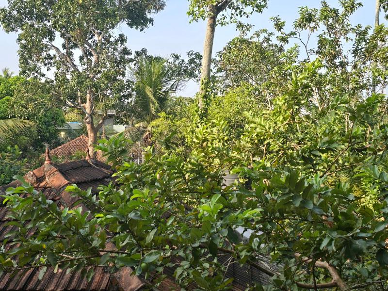 Bella Boutique Homestay - image 11
