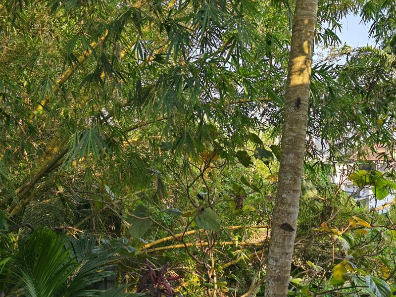Bella Boutique Homestay - image 4