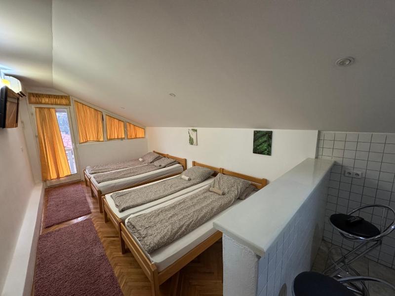 Studio with Terrace image 4