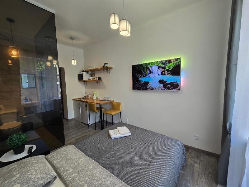 S3 Studio with balcony - image 18