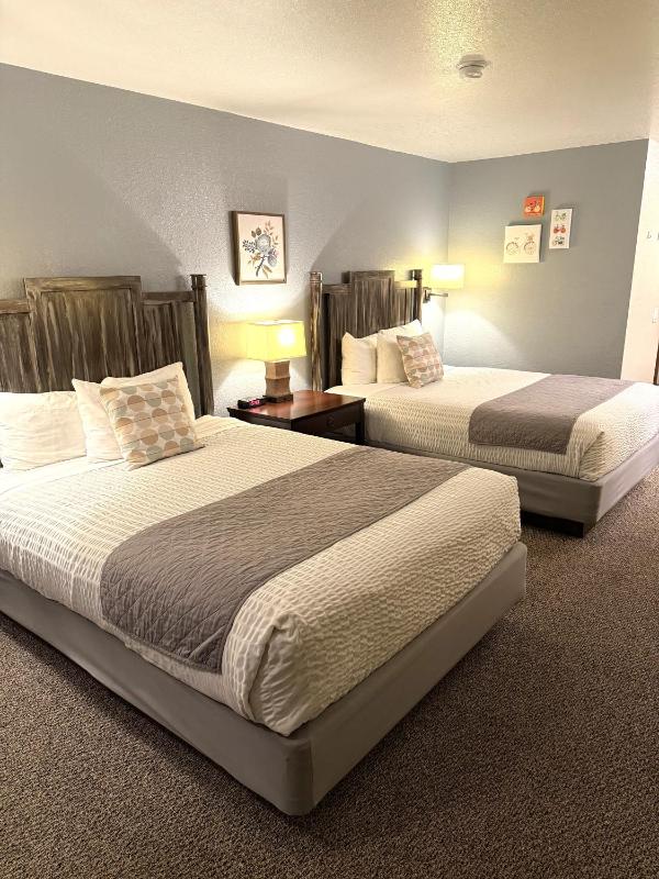 Family Suite Pet Friendly image 1