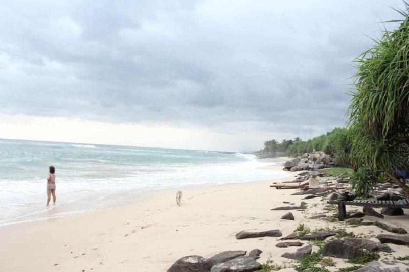 Sun Bird Villa - image 12