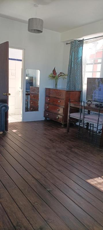 Victoria Green Living studio apt in Roseau - image 11