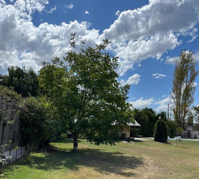 Casa estilo campo con parque y pileta - image 8