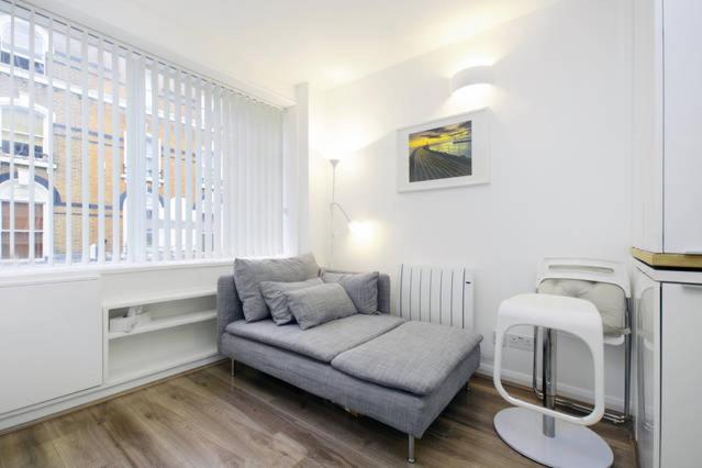 Deluxe Studio image 3