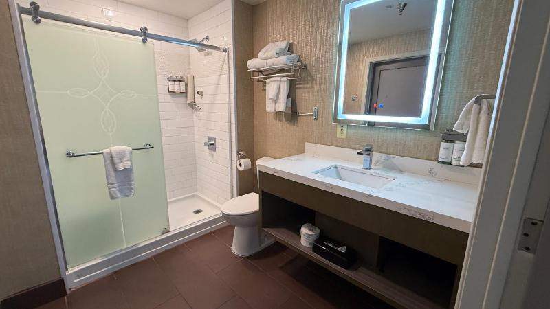 Deluxe King Suite image 3