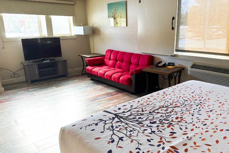 Deluxe King Suite image 4