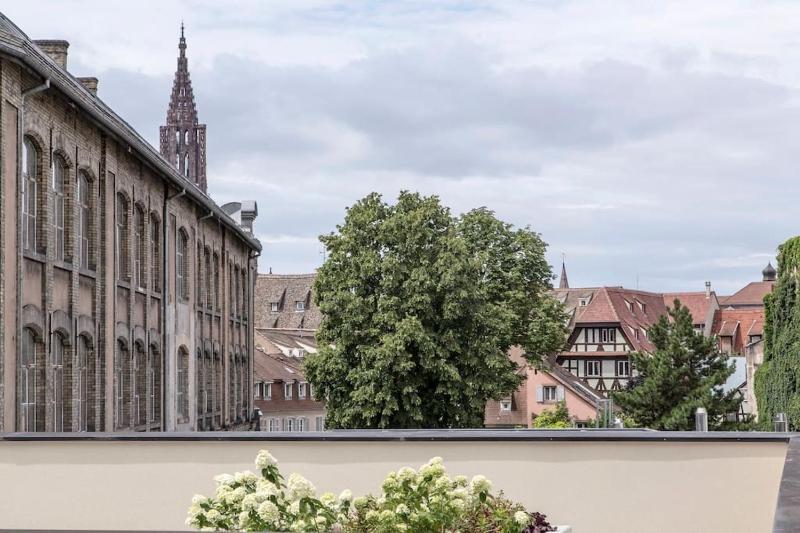 L'Académie - Magnifique 3 chambres Krutenau avec parking - image 15