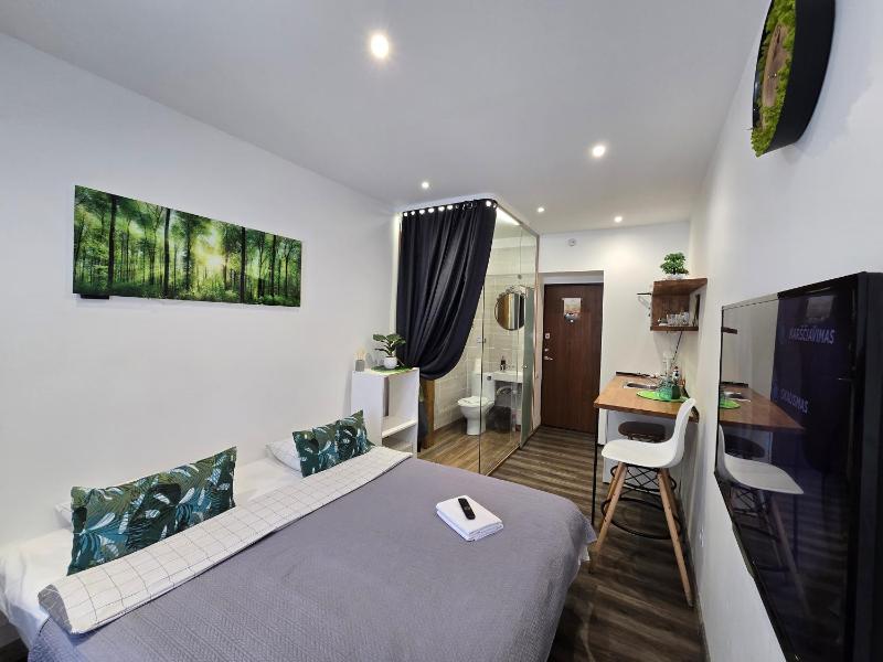 S11 Lime studio apartment - image 6