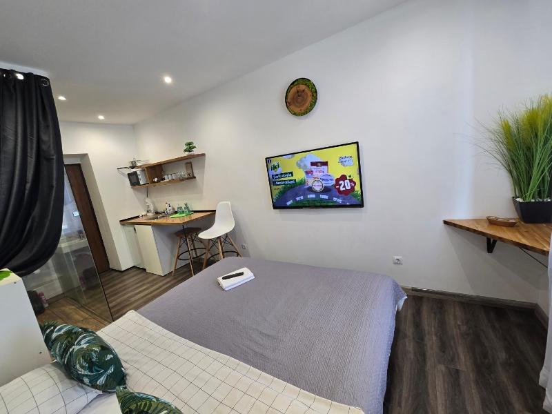 S11 Lime studio apartment - image 13