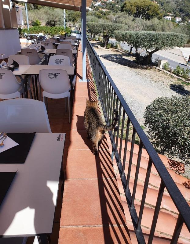 Apartamento Nuevo Ondina - image 21