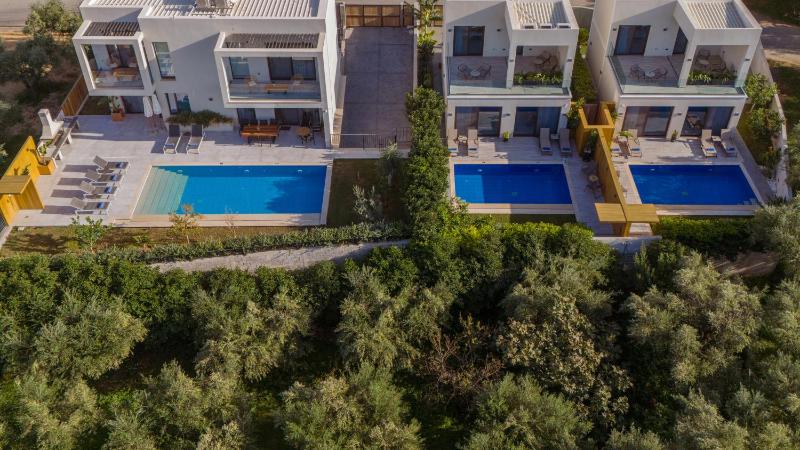Three-Bedroom Villa image 3