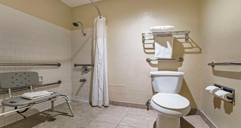 King Room with Roll-In Shower - Disability Access image 2