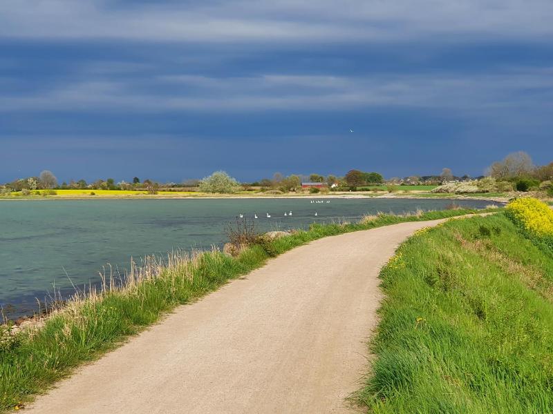 Ferienwohnung Bambuswald Ferienhof Geltinger Bucht - image 2