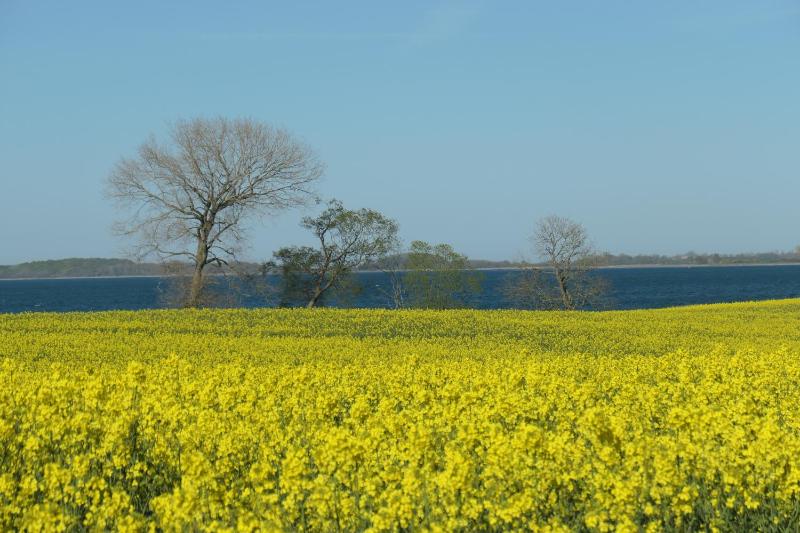 Ferienwohnung Hafenblick Ferienhof Geltinger Bucht - image 50
