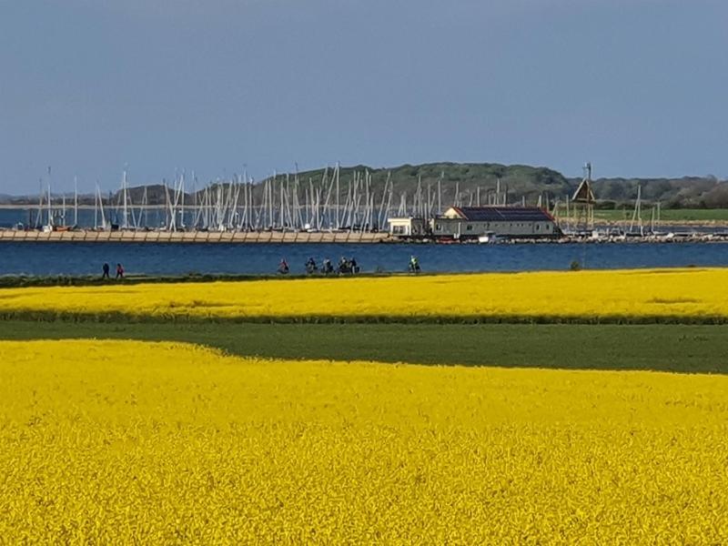 Ferienwohnung Hafenblick Ferienhof Geltinger Bucht - image 7