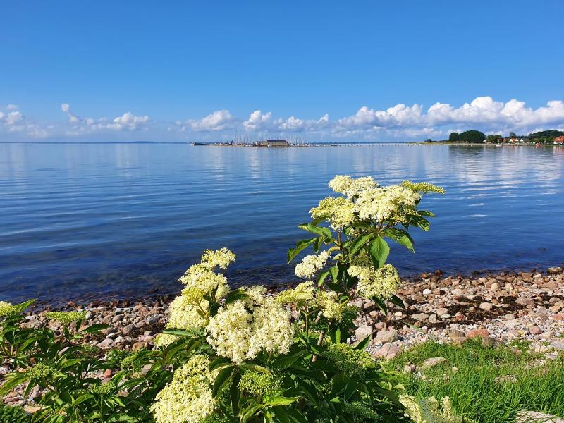 Ferienwohnung Hafenblick Ferienhof Geltinger Bucht - image 37