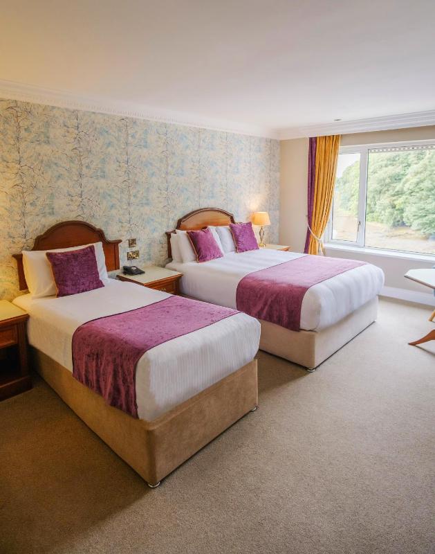 Deluxe Double room with River view - Room only image 3