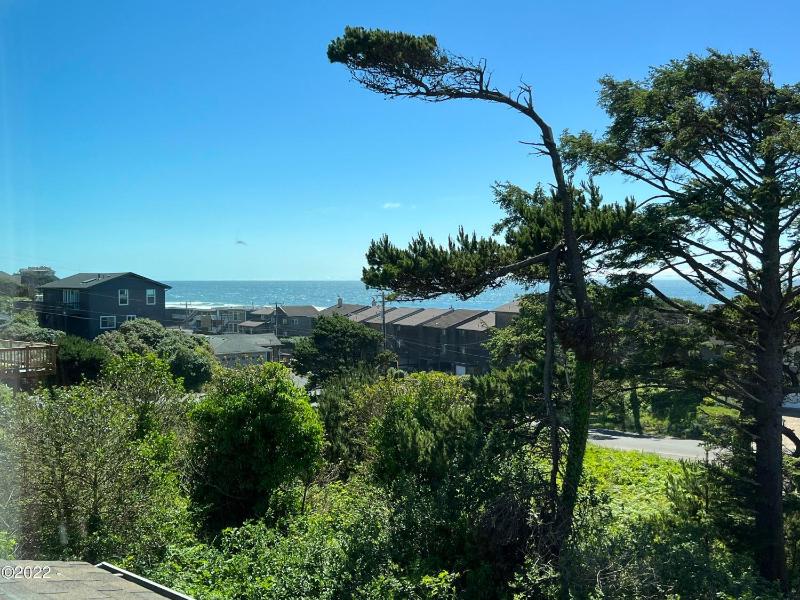 Pacific Peek One - OceanView - EV Charger - Pet OK - image 21