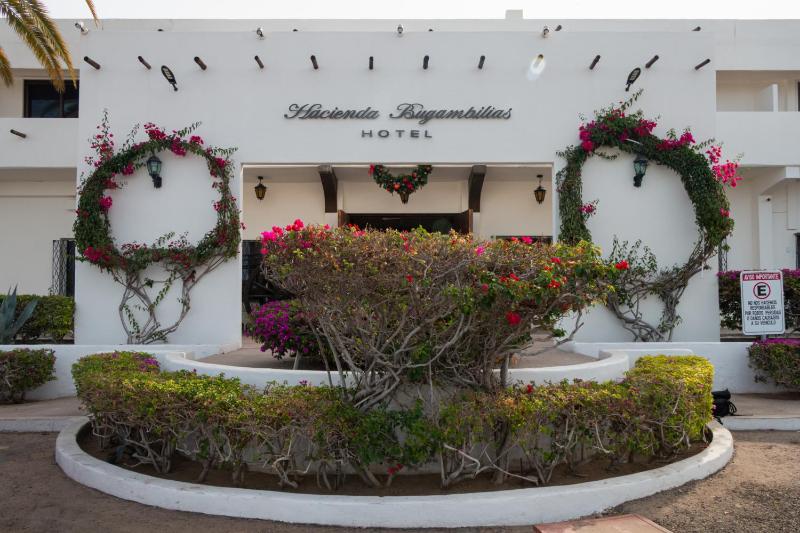 Hotel Hacienda Bugambilias La Paz - image 5