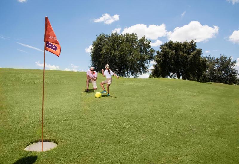 PF469C Patriots Palm - image 2