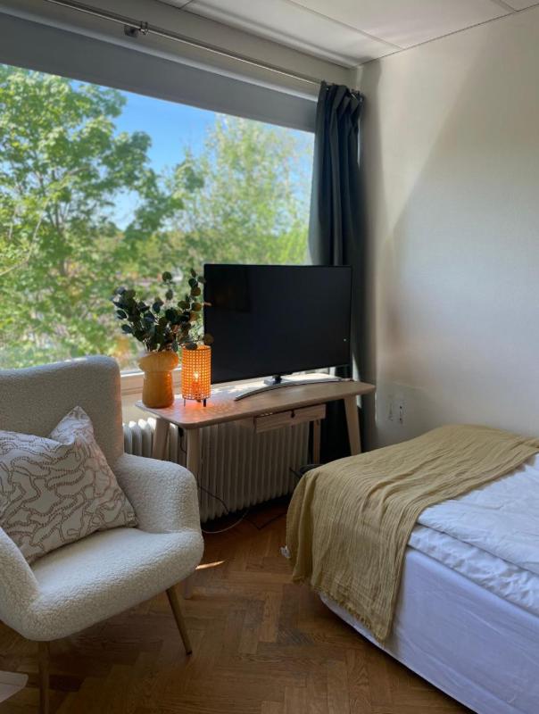 Single Room image 4