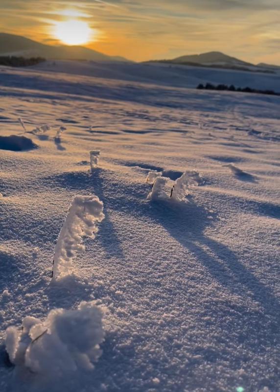 Two-Bedroom Apartment image 3