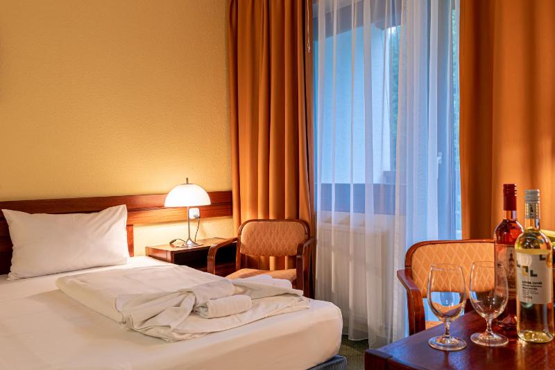 Superior Twin Room image 2