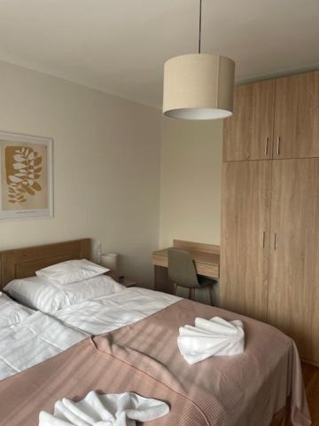 Two-Bedroom Family Apartment image 3