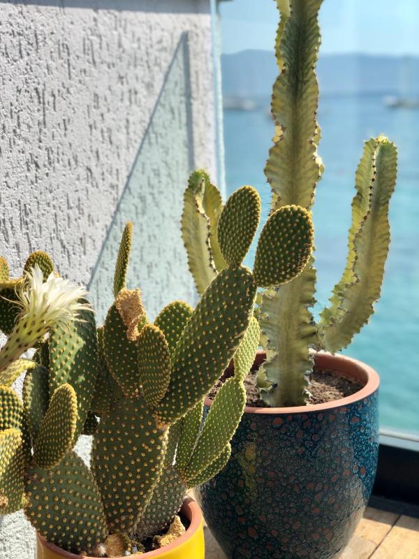 Studio with Sea View image 2