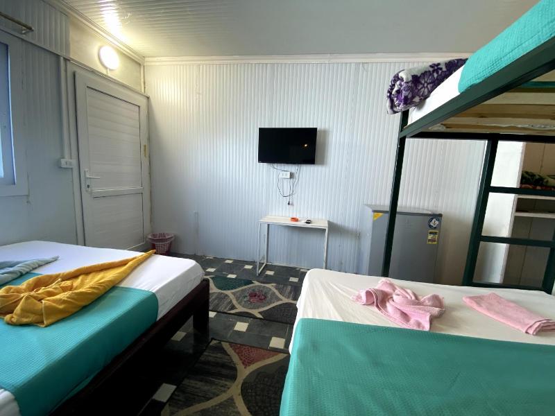 Octopus Hotel - image 14