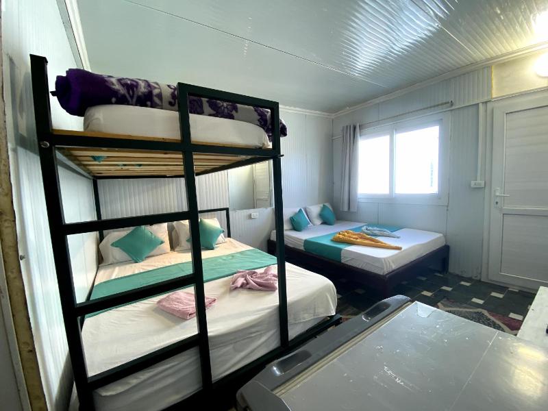Octopus Hotel - image 6